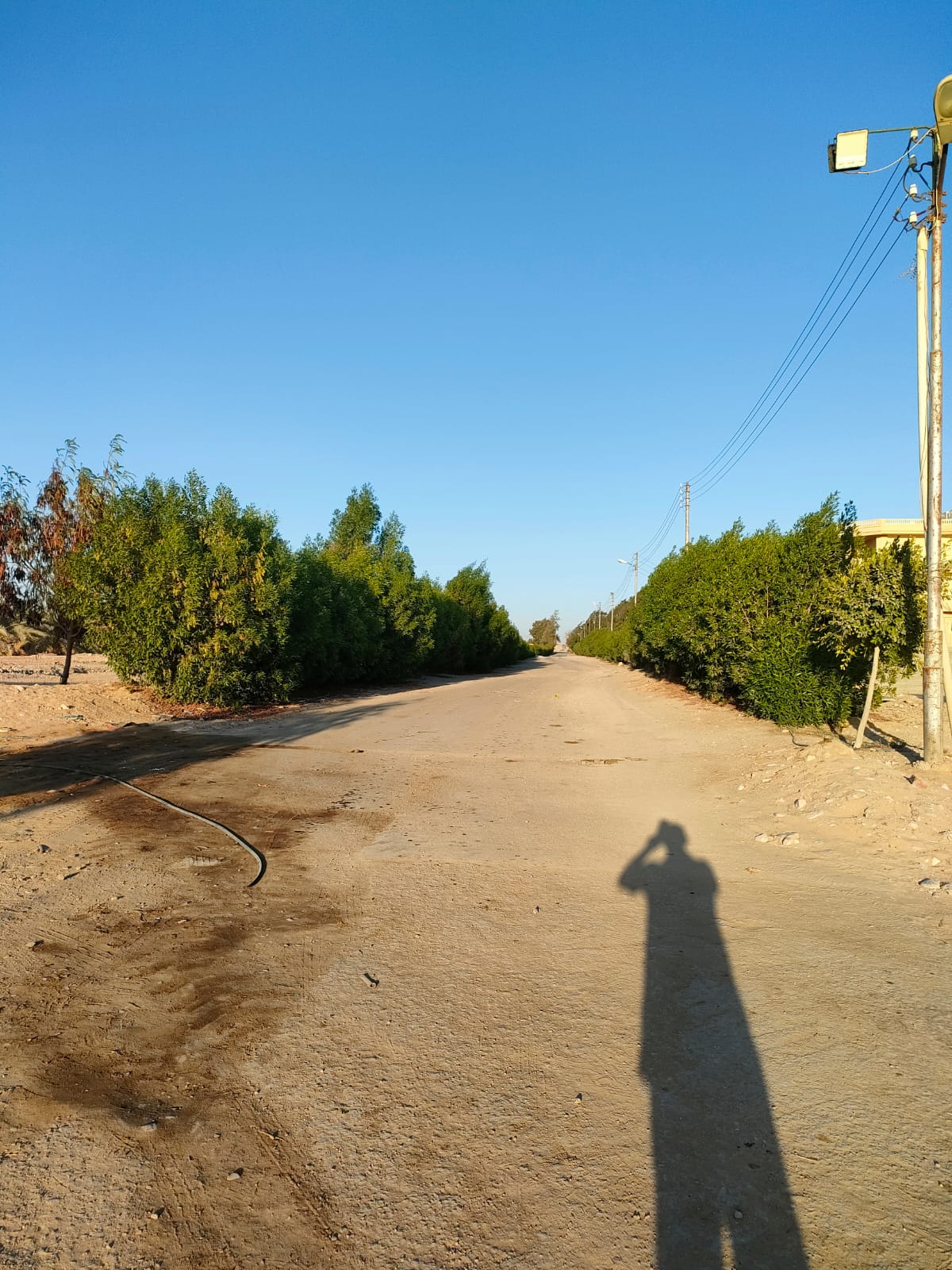 الشركة العالمية للاستثمار والتوكيلات التجارية (أكيكا)